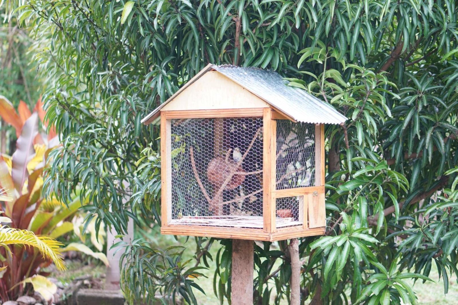 Nature World Udawalawe Luaran gambar