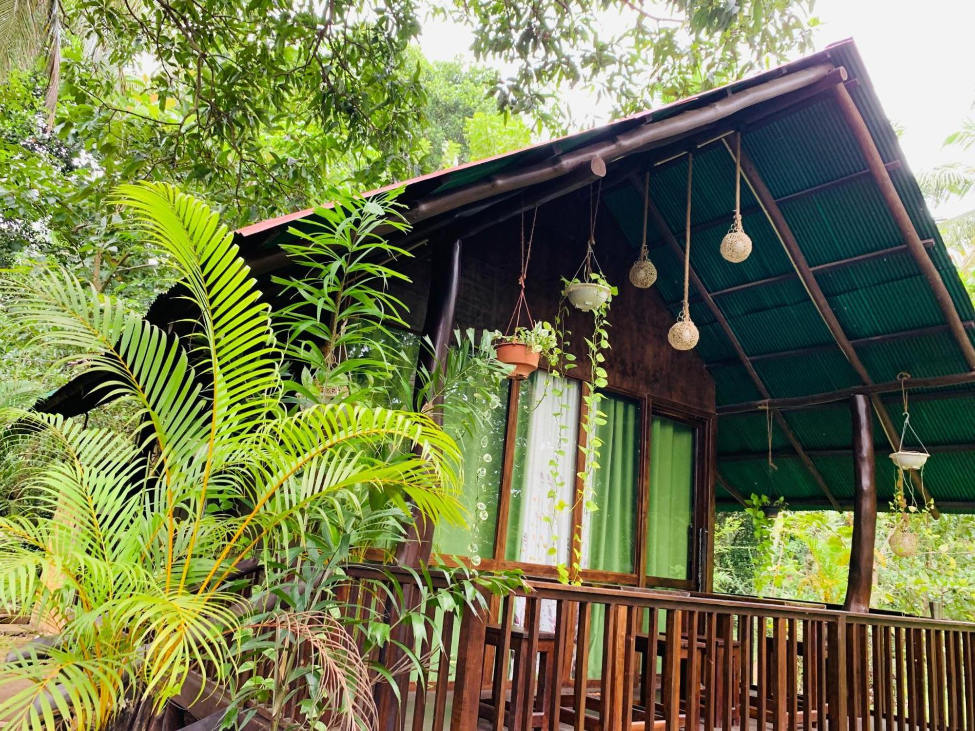 Nature World Udawalawe Bilik gambar