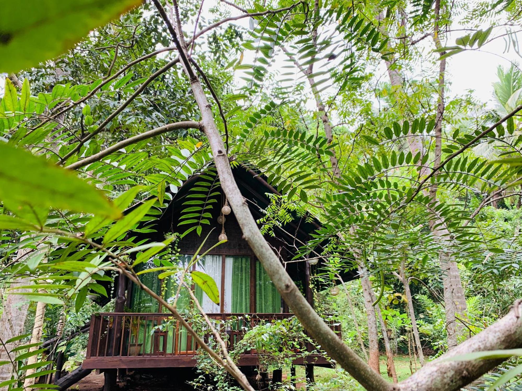 Nature World Udawalawe Bilik gambar